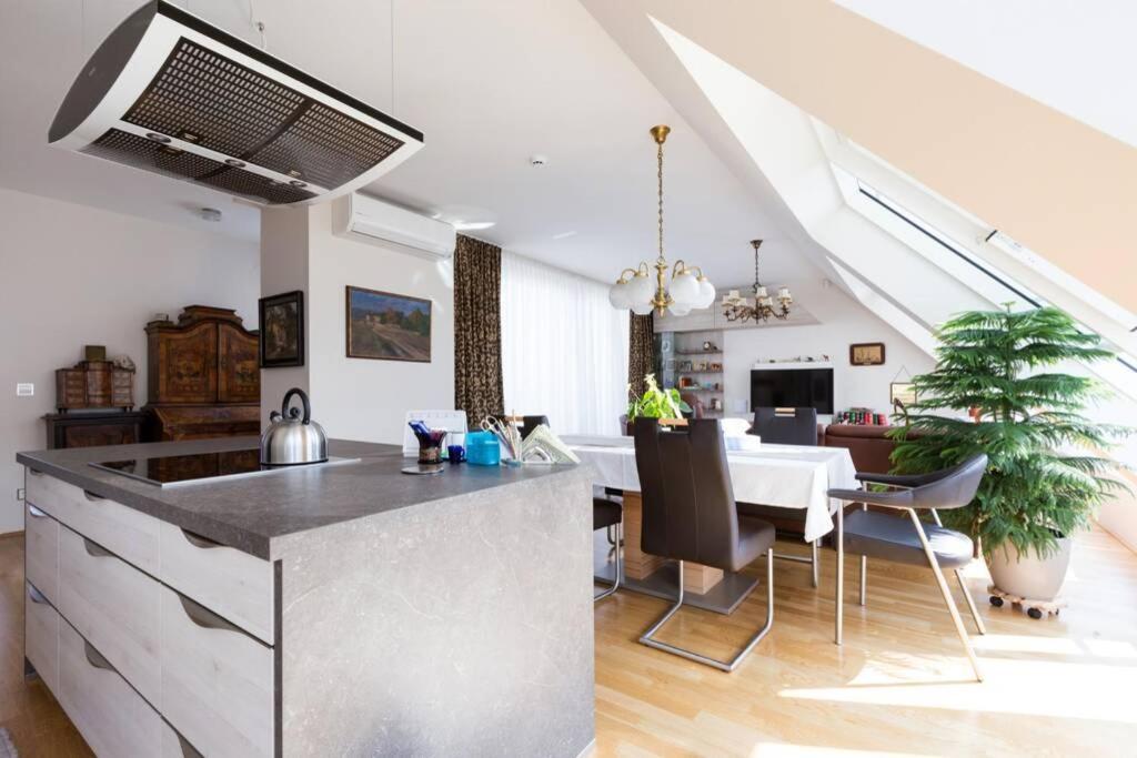 Appartamento Grosses Penthouse #12 Mit Terrasse Und Aussicht Vienna Esterno foto
