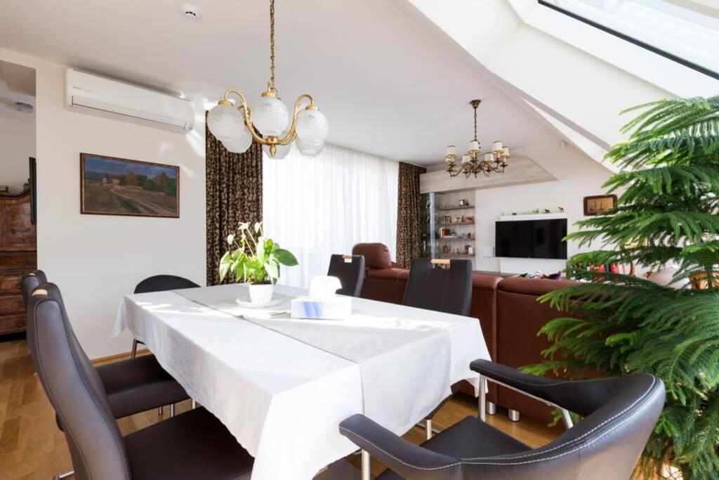 Appartamento Grosses Penthouse #12 Mit Terrasse Und Aussicht Vienna Esterno foto